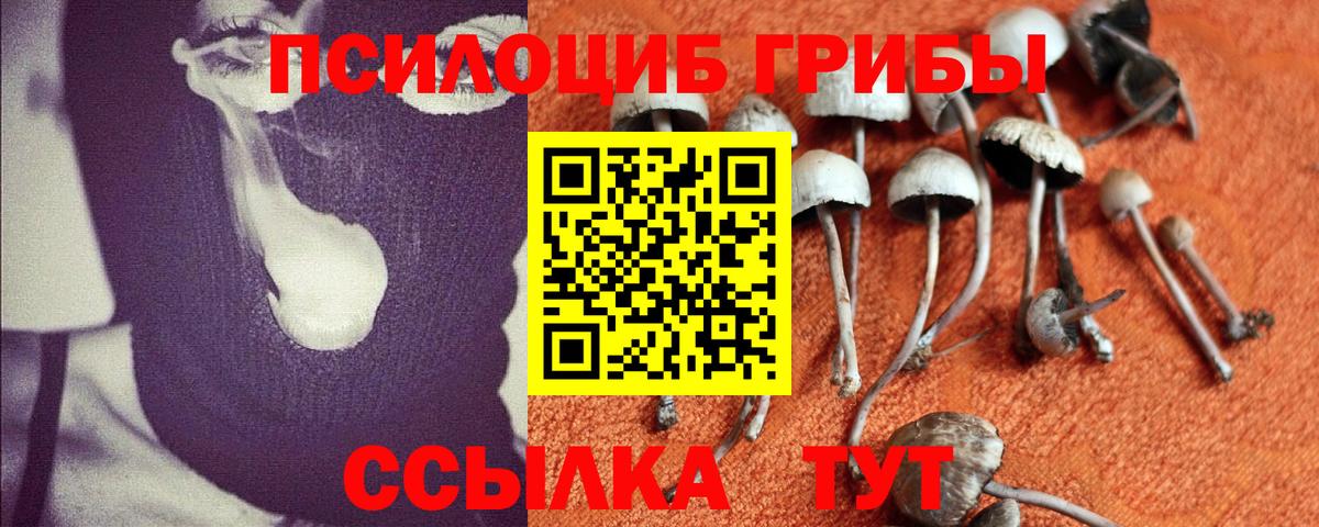 Галлюциногенные грибы мухоморы Воркута